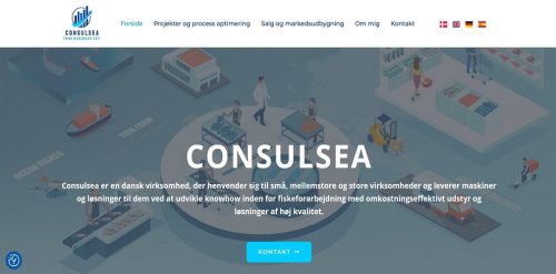 hjemmeside design consulsea